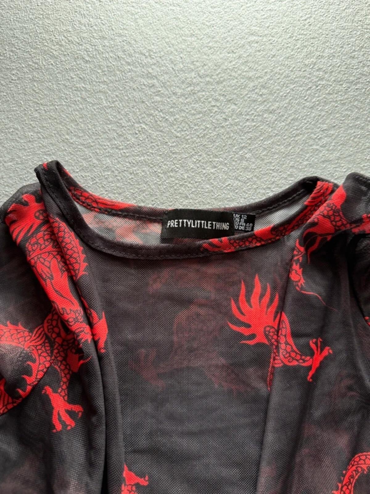 Mesh Dragon Print Crop Top Long Sleeve Size 12